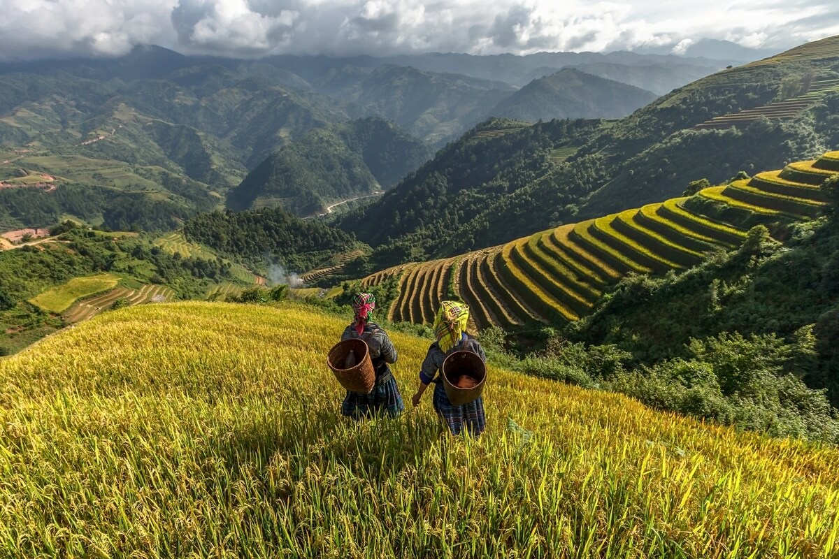 Climat au Vietnam